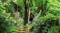 Adrenaline Junkie Jac–