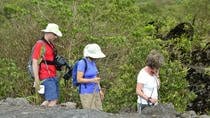 Arenal 1968 Park Trekking Tour