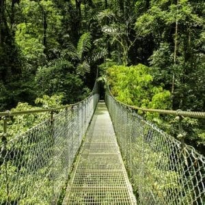 Arenal Hanging Bridges Arenal