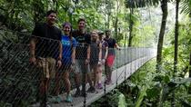 Arenal Hanging Bridges Arenal