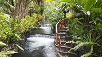 Arenal Volcano Lava Flow Hike and Tabacón Hot Springs with Dinner