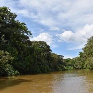 Authentic Experience at the Caño Negro Wetlands by Boat