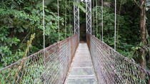 Combination Tour with Hanging Bridges Waterfall Volcano Hike and Hot Springs