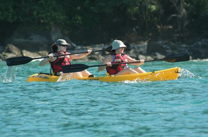 Damas Island Kayak Tour with Lunch Manuel Antonio