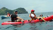 Damas Island Kayak Tour with Lunch Manuel Antonio
