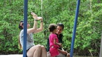Damas Island Mangrove Boat Manuel Antonio