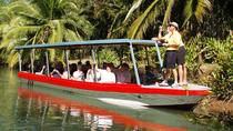 Damas Island Mangrove Discovery Tour by Boat Manuel Antonio