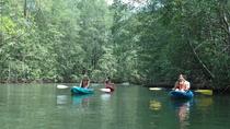 Damas Island Mangrove Kayaking Tour