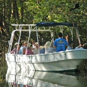 Damas Island Mangrove Quepos