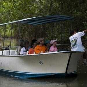 Damas Mangroove Boat Manuel Antonio