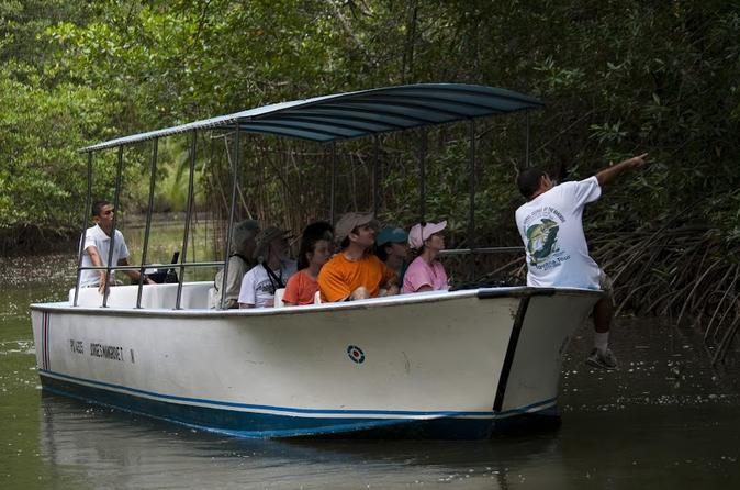 Damas Mangroove Boat Manuel Antonio