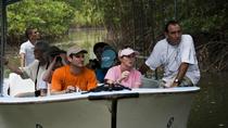 Damas Mangroove Boat Manuel Antonio