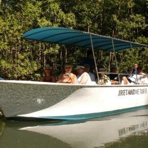 Damas Mangrove Boat Tour