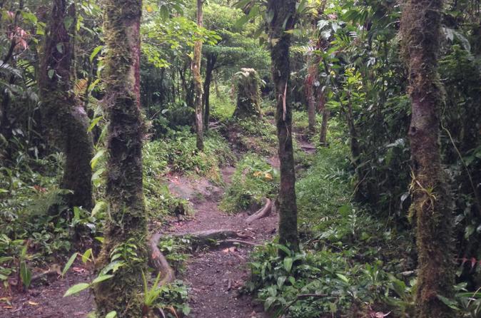 Extreme Arenal and Cerro Chato Volcano Hike in La Fortuna - Image 6