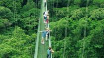 Hanging Bridges Walking Tour in Arenal