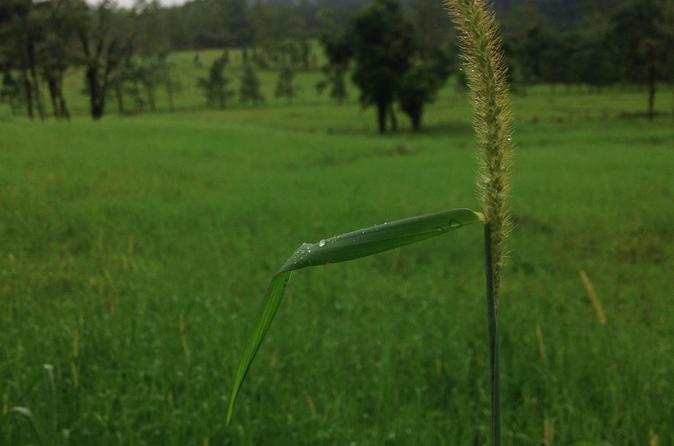 Extreme Arenal and Cerro Chato Volcano Hike in La Fortuna - Image 4