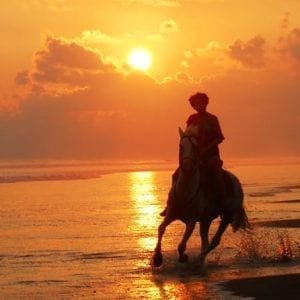 Horseback Riding Adventure Quepos