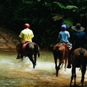 Horseback Riding and Waterfalls Manuel Antonio