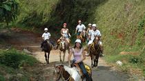 Horseback Riding Manuel Antonio