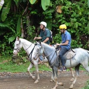 Horseback Riding Manuel Antonio