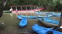 Kayak in the Mangrove Manuel Antonio