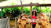 Local Farm Experience in La Fortuna