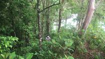 Manuel Antonio Coastal Hike