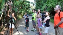 Manuel Antonio National Park Hiking Tour - Image 17