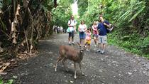 Manuel Antonio National Park Private Excursion
