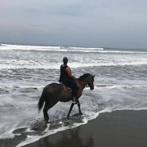 Horseback Riding Adventure Quepos
