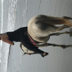 Horseback Riding Adventure Quepos