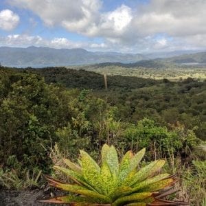 Manuel Antonio National Park Hiking Tour