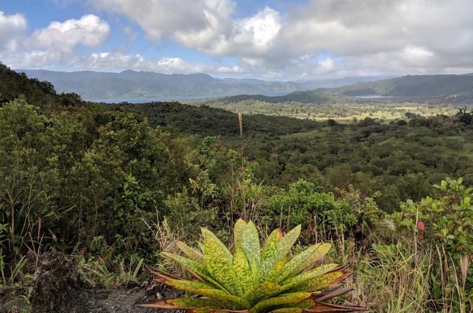 Manuel Antonio National Park Hiking Tour - Image 3