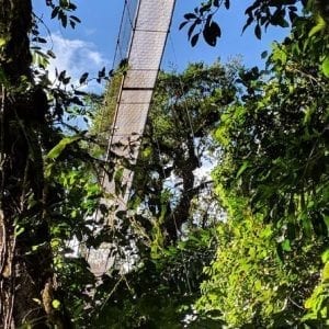 Manuel Antonio National Park Hiking Tour