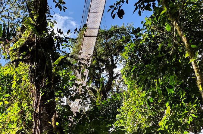 Manuel Antonio National Park Hiking Tour - Image 4