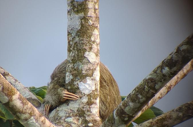 Manuel Antonio National Park Hiking Tour - Image 7