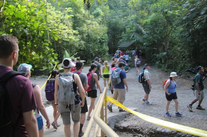 Manuel Antonio National Park Hiking Tour - Image 9