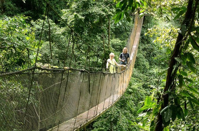 Rainmaker Park Hanging Bridges & Waterfalls Tour