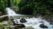 Rainmaker Park Hanging Bridges & Waterfalls Tour - Image 2