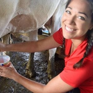 Río Celeste Cultural & Milking Tour