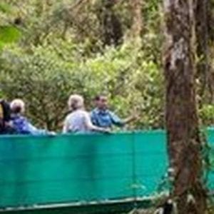 Sky Walk with Guide Arenal