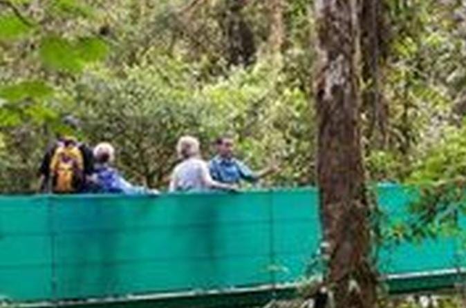 Sky Walk with Guide Arenal