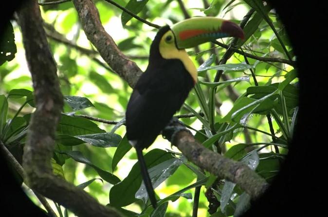 Combination Tour with Hanging Bridges Waterfall Volcano Hike and Hot Springs - Image 3