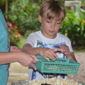 Volunteer Program and Tour at Wildlife Rescue Center in Costa Rica