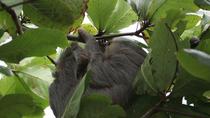 Wildlife Safari Float Trip and Natural History Tour