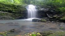 11-Day San José: Monteverde Cloud Forest and Tortuguero, Arenal Volcano and Ma - Image 13