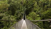 3-In-1 Arenal Combo Tour: Hanging Bridges, La Fortuna Waterfall And Volcano Hi