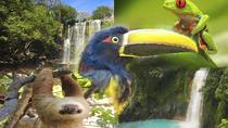 4 In 1 Sloth Waterfalls Rainforest Volcanos