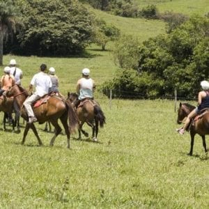 8-Day Best of Northwest Costa Rica San José: Arenal Volcano National Park, Ala
