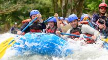8-Day Tour: Jewels of Costa Rica